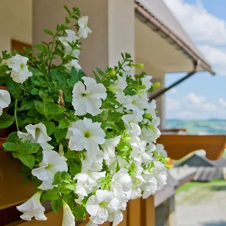 Orelki * Bukowina Tatrzańska