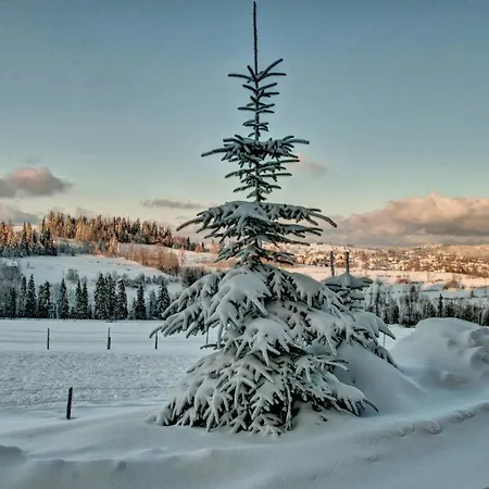 Feriested Orelki Bukowina Tatrzańska